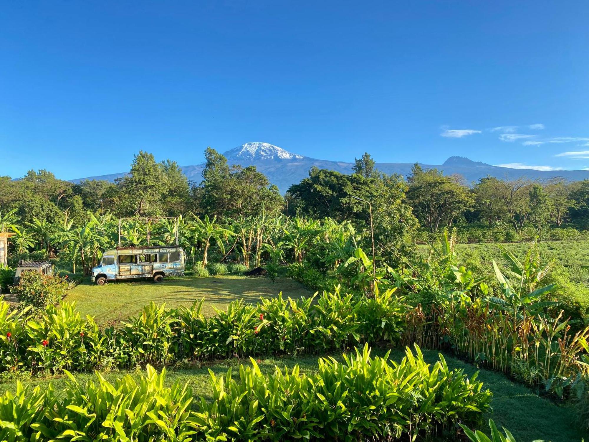 Mount Kilimanjaro 360 View Cottage Uru Exterior photo