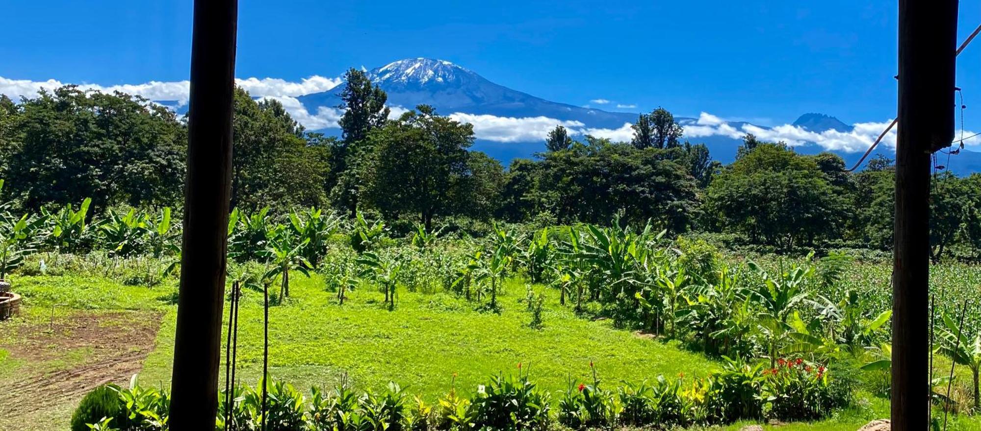 Mount Kilimanjaro 360 View Cottage Uru Exterior photo